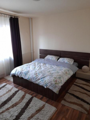 Apartament no 8